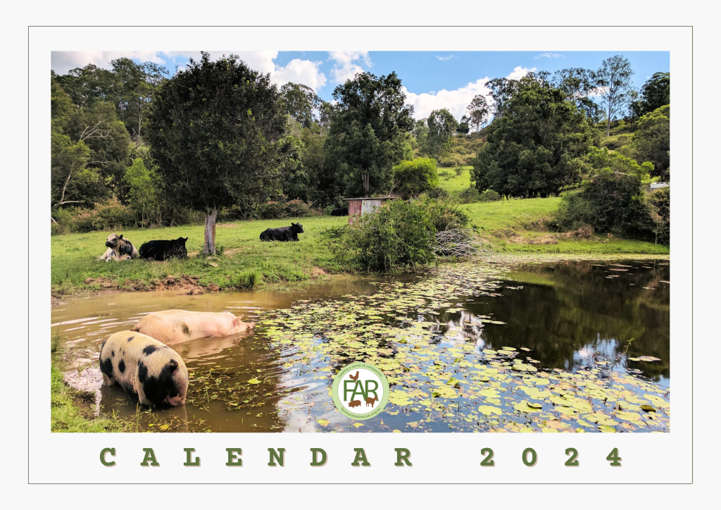 2024 Calendar Farm Animal Rescue   Cover Page 1 1024x724 